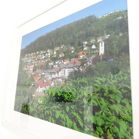 H-Apartment 2 Triberg im Schwarzwald Exterior photo